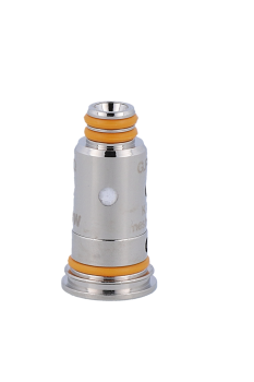 GeekVape-G-Pod-Formula-06-Ohm-Head-einzel_2.png